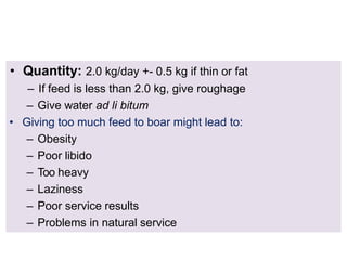 • Quantity: 2.0 kg/day +- 0.5 kg if thin or fat
– If feed is less than 2.0 kg, give roughage
– Give water ad li bitum
• Giving too much feed to boar might lead to:
– Obesity
– Poor libido
– Too heavy
– Laziness
– Poor service results
– Problems in natural service
 
