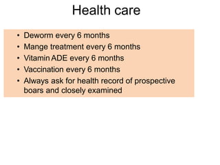 Health care
• Deworm every 6 months
• Mange treatment every 6 months
• Vitamin ADE every 6 months
• Vaccination every 6 months
• Always ask for health record of prospective
boars and closely examined
 