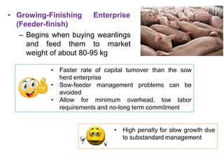 • Growing-Finishing Enterprise
(Feeder-finish)
– Begins when buying weanlings
and feed them to market
weight of about 80-95 kg
• Faster rate of capital turnover than the sow
herd enterprise
• Sow-feeder management problems can be
avoided
• Allow for minimum overhead, low labor
requirements and no-long term commitment
• High penalty for slow growth due
to substandard management
 