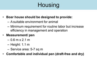 Housing
• Boar house should be designed to provide:
– A suitable environment for animal
– Minimum requirement for routine labor but increase
efficiency in management and operation
• Measurement/ pen
– 0.6 m x 2.1 m
– Height: 1.1 m
– Service area: 5-7 sq m
• Comfortable and individual pen (draft-free and dry)
 