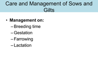 Care and Management of Sows and
Gilts
• Management on:
–Breeding time
–Gestation
–Farrowing
–Lactation
 