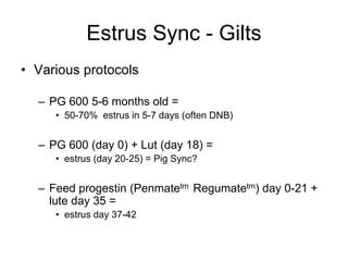 thumbnail image 2 of Matrix Swine Altrenogest - Synchronize Estrus In Sows & Gilts, 1000ml .22% Solution 2 of 13