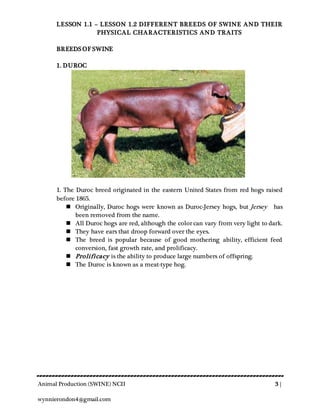 Animal Production (SWINE) NCII 3 |
wynnierondon4@gmail.com
LESSON 1.1 – LESSON 1.2 DIFFERENT BREEDS OF SWINE AND THEIR
PHYSICAL CHARACTERISTICS AND TRAITS
BREEDS OF SWINE
1. DUROC
1. The Duroc breed originated in the eastern United States from red hogs raised
before 1865.
 Originally, Duroc hogs were known as Duroc-Jersey hogs, but Jersey has
been removed from the name.
 All Duroc hogs are red, although the color can vary from very light to dark.
 They have ears that droop forward over the eyes.
 The breed is popular because of good mothering ability, efficient feed
conversion, fast growth rate, and prolificacy.
 Prolificacy is the ability to produce large numbers of offspring.
 The Duroc is known as a meat-type hog.
 