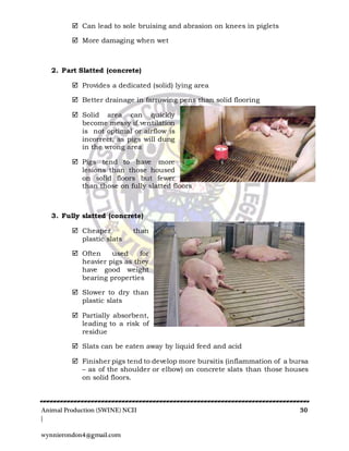 Animal Production (SWINE) NCII 30
|
wynnierondon4@gmail.com
 Can lead to sole bruising and abrasion on knees in piglets
 More damaging when wet
2. Part Slatted (concrete)
 Provides a dedicated (solid) lying area
 Better drainage in farrowing pens than solid flooring
 Solid area can quickly
become messy if ventilation
is not optimal or airflow is
incorrect, as pigs will dung
in the wrong area
 Pigs tend to have more
lesions than those housed
on solid floors but fewer
than those on fully slatted floors
3. Fully slatted (concrete)
 Cheaper than
plastic slats
 Often used for
heavier pigs as they
have good weight
bearing properties
 Slower to dry than
plastic slats
 Partially absorbent,
leading to a risk of
residue
 Slats can be eaten away by liquid feed and acid
 Finisher pigs tend to develop more bursitis (inflammation of a bursa
– as of the shoulder or elbow) on concrete slats than those houses
on solid floors.
 
