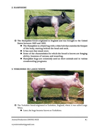 Animal Production (SWINE) NCII 4 |
wynnierondon4@gmail.com
2. HAMPSHIRE
 The Hampshire breed originated in England and was brought to the United
States between 1825 and 1835.
 The Hampshire is a black hog with a white belt that encircles the forepart
of the body, starting behind the head and neck.
 It has ears that stand erect.
 Some of the characteristics for which the breed is known are foraging
ability, leanness of carcass, and muscling.
 Hampshire hogs are commonly used as show animals and in various
crossbreeding programs.
3. YORKSHIRE OR LARGE WHITE
 The Yorkshire breed originated in Yorkshire, England, where it was called Large
White.
 Later, the hogs became known as Yorkshires.
 