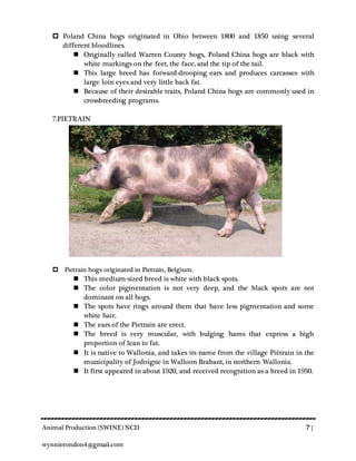 Animal Production (SWINE) NCII 7 |
wynnierondon4@gmail.com
 Poland China hogs originated in Ohio between 1800 and 1850 using several
different bloodlines.
 Originally called Warren County hogs, Poland China hogs are black with
white markings on the feet, the face, and the tip of the tail.
 This large breed has forward-drooping ears and produces carcasses with
large loin eyes and very little back fat.
 Because of their desirable traits, Poland China hogs are commonly used in
crossbreeding programs.
7.PIETRAIN
 Pietrain hogs originated in Pietrain, Belgium.
 This medium-sized breed is white with black spots.
 The color pigmentation is not very deep, and the black spots are not
dominant on all hogs.
 The spots have rings around them that have less pigmentation and some
white hair.
 The ears of the Pietrain are erect.
 The breed is very muscular, with bulging hams that express a high
proportion of lean to fat.
 It is native to Wallonia, and takes its name from the village Piètrain in the
municipality of Jodoigne in Walloon Brabant, in northern Wallonia.
 It first appeared in about 1920, and received recognition as a breed in 1950.
 
