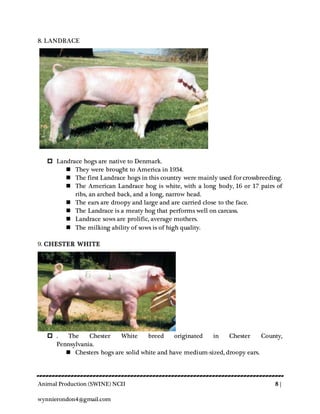 Animal Production (SWINE) NCII 8 |
wynnierondon4@gmail.com
8. LANDRACE
 Landrace hogs are native to Denmark.
 They were brought to America in 1934.
 The first Landrace hogs in this country were mainly used for crossbreeding.
 The American Landrace hog is white, with a long body, 16 or 17 pairs of
ribs, an arched back, and a long, narrow head.
 The ears are droopy and large and are carried close to the face.
 The Landrace is a meaty hog that performs well on carcass.
 Landrace sows are prolific, average mothers.
 The milking ability of sows is of high quality.
9. CHESTER WHITE
 . The Chester White breed originated in Chester County,
Pennsylvania.
 Chesters hogs are solid white and have medium-sized, droopy ears.
 