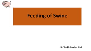 Feeding of Swine
Dr Sheikh Gowher Gull
 