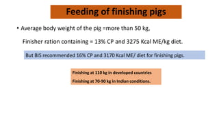 Feeding of finishing pigs
• Average body weight of the pig =more than 50 kg,
Finisher ration containing = 13% CP and 3275 Kcal ME/kg diet.
But BIS recommended 16% CP and 3170 Kcal ME/ diet for finishing pigs.
Finishing at 110 kg in developed countries
Finishing at 70-90 kg in Indian conditions.
 