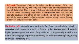 • Soft pork: The nature of dietary fat influences the properties of the body
fat of swine and poultry. The fatty acid composition of body fat resembles
that of dietary fat. Thus if a pig is fed corn oil, its body fat will resemble
corn oil. Diets containing high levels of unsaturated fats like corn oil,
peanuts, soybeans and other oil rich seeds should not be fed to market
animals for several weeks before slaughter, because it may cause softening
of body fat and produce “soft pork”.
Hardening off: Animals can synthesis fat from carbohydrate which is
saturated and results in a hard or firm body fat. Cotton seed oil contain
higher percentage of saturated fatty acids and it is generally added in the
diet of finishing pigs to produce hard body fat before marketing/slaughtering
known as “hardening off”.
 