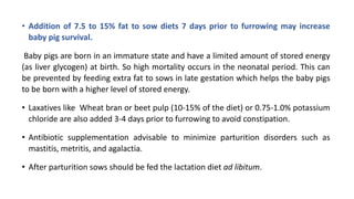 • Addition of 7.5 to 15% fat to sow diets 7 days prior to furrowing may increase
baby pig survival.
Baby pigs are born in an immature state and have a limited amount of stored energy
(as liver glycogen) at birth. So high mortality occurs in the neonatal period. This can
be prevented by feeding extra fat to sows in late gestation which helps the baby pigs
to be born with a higher level of stored energy.
• Laxatives like Wheat bran or beet pulp (10-15% of the diet) or 0.75-1.0% potassium
chloride are also added 3-4 days prior to furrowing to avoid constipation.
• Antibiotic supplementation advisable to minimize parturition disorders such as
mastitis, metritis, and agalactia.
• After parturition sows should be fed the lactation diet ad libitum.
 