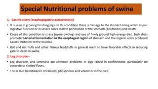 Special Nutritional problems of swine
1. Gastric ulcers (esophagogastric parakeratosis)-
• It is seen in growing finishing pigs. In this condition there is damage to the stomach lining which impair
digestive function or in severe cases lead to perforation of the stomach (peritonitis) and death.
• Cause of this condition is stress (overcrowding) and use of finely ground high energy diet. Such diets
promote bacterial fermentation in the esophageal region of stomach and the organic acids produced
caused irritation to the mucosa.
• Oat and oat hulls and other fibrous feedstuffs in general seem to have favorable effects in reducing
gastric ulcers in swine.
2. Leg disorders-
• Leg disorders and lameness are common problems in pigs raised in confinement, particularly on
concrete or slotted floors.
• This is due to imbalance of calcium, phosphorus and vitamin D in the diet.
 