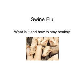 Swine Flu What is it and how to stay healthy 