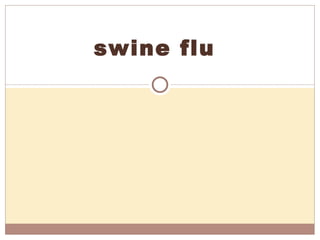   swine flu 