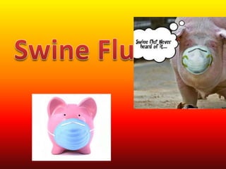 Swine Flu 
