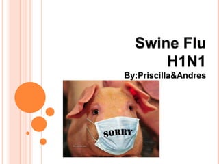 Swine Flu H1N1 By:Priscilla&Andres 
