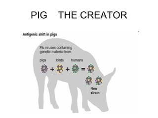 PIG   THE CREATOR
 