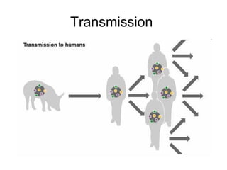 Transmission
 