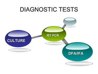 DIAGNOSTIC TESTS
                    QUIDEL




           RT PCR
CULTURE


                       DFA/IFA
 