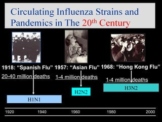 The
Influenza Virus
 