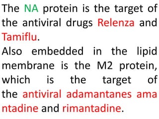 The NA protein is the target of
the antiviral drugs Relenza and
Tamiflu.
Also embedded in the lipid
membrane is the M2 protein,
which is the target of
the antiviral adamantanes ama
ntadine and rimantadine.
 