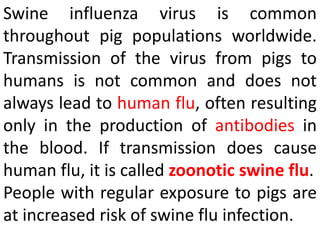 Swine influenza virus is common
throughout pig populations worldwide.
Transmission of the virus from pigs to
humans is not common and does not
always lead to human flu, often resulting
only in the production of antibodies in
the blood. If transmission does cause
human flu, it is called zoonotic swine flu.
People with regular exposure to pigs are
at increased risk of swine flu infection.
 