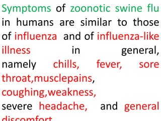 Symptoms of zoonotic swine flu
in humans are similar to those
of influenza and of influenza-like
illness in general,
namely chills, fever, sore
throat,musclepains,
coughing,weakness,
severe headache, and general
 