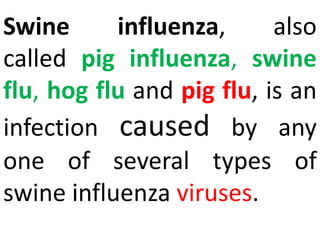 Swine influenza, also
called pig influenza, swine
flu, hog flu and pig flu, is an
infection caused by any
one of several types of
swine influenza viruses.
 