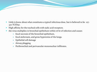  Little is know about what constitutes a typical infectious dose, but is believed to be 127-
320 TCID50.
 High affinity for the tracheal cells with sialic acid receptors.
 the virus multiplies in bronchial epithelium within 16 hr of infection and causes
 focal necrosis of the bronchial epithelium,
 focal atelectasis, and gross hyperemia of the lungs.
 Epithelial cell damage
 Airway plugging
 Peribronchial and perivascular mononuclear infiltrates.
 