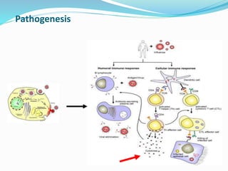 Pathogenesis
 