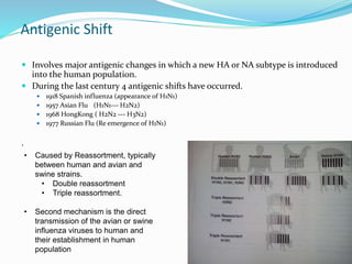 Antigenic Shift
 Involves major antigenic changes in which a new HA or NA subtype is introduced
into the human population.
 During the last century 4 antigenic shifts have occurred.
 1918 Spanish influenza (appearance of H1N1)
 1957 Asian Flu (H1N1--- H2N2)
 1968 HongKong ( H2N2 --- H3N2)
 1977 Russian Flu (Re emergence of H1N1)
.
• Caused by Reassortment, typically
between human and avian and
swine strains.
• Double reassortment
• Triple reassortment.
• Second mechanism is the direct
transmission of the avian or swine
influenza viruses to human and
their establishment in human
population
 