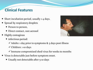 Clinical Features
 Short incubation period, usually 1-4 days.
 Spread by respiratory droplets
 Person to person,
 Direct contact, rare aerosol
 Highly contagious
 infectious period:
Adults: 1 day prior to symptoms & 5 days post illness
Children: >10 days
Immune compromised shed virus for weeks to months
 Virus is detectable just before symptom onset.
 Usually not detectable after 5-10 days
 