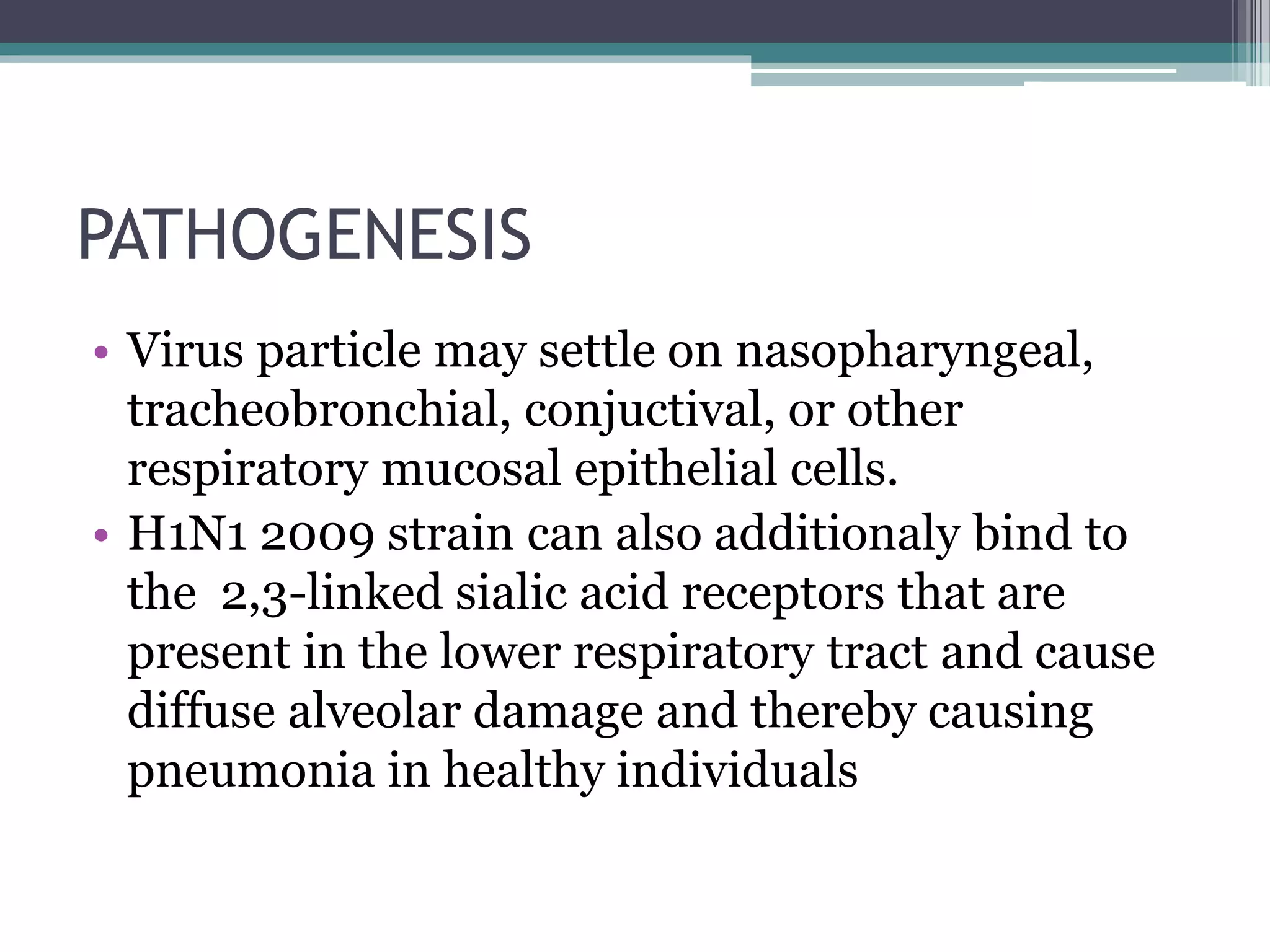 PATHOGENESIS
• Virus particle may settle on nasopharyngeal,
tracheobronchial, conjuctival, or other
respiratory mucosal epithelial cells.
• H1N1 2009 strain can also additionaly bind to
the 2,3-linked sialic acid receptors that are
present in the lower respiratory tract and cause
diffuse alveolar damage and thereby causing
pneumonia in healthy individuals
 