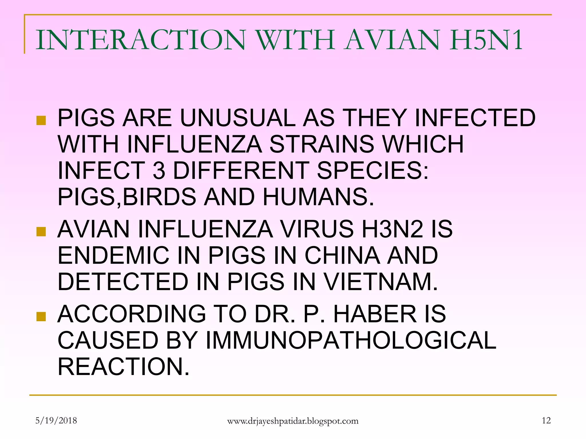 INTERACTION WITH AVIAN H5N1
 PIGS ARE UNUSUAL AS THEY INFECTED
WITH INFLUENZA STRAINS WHICH
INFECT 3 DIFFERENT SPECIES:
PIGS,BIRDS AND HUMANS.
 AVIAN INFLUENZA VIRUS H3N2 IS
ENDEMIC IN PIGS IN CHINA AND
DETECTED IN PIGS IN VIETNAM.
 ACCORDING TO DR. P. HABER IS
CAUSED BY IMMUNOPATHOLOGICAL
REACTION.
5/19/2018 12www.drjayeshpatidar.blogspot.com
 