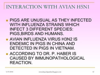 INTERACTION WITH AVIAN H5N1
 PIGS ARE UNUSUAL AS THEY INFECTED
WITH INFLUENZA STRAINS WHICH
INFECT 3 DIFFERENT SPECIES:
PIGS,BIRDS AND HUMANS.
 AVIAN INFLUENZA VIRUS H3N2 IS
ENDEMIC IN PIGS IN CHINA AND
DETECTED IN PIGS IN VIETNAM.
 ACCORDING TO DR. P. HABER IS
CAUSED BY IMMUNOPATHOLOGICAL
REACTION.
5/19/2018 12www.drjayeshpatidar.blogspot.com
 