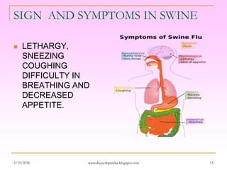 SIGN AND SYMPTOMS IN SWINE
 LETHARGY,
SNEEZING
COUGHING
DIFFICULTY IN
BREATHING AND
DECREASED
APPETITE.
5/19/2018 15www.drjayeshpatidar.blogspot.com
 