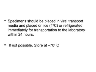  Specimens should be placed in viral transport
media and placed on ice (4ºC) or refrigerated
immediately for transportation to the laboratory
within 24 hours.
 If not possible, Store at –700
C
 
