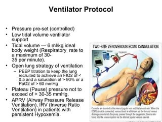 Ventilator Protocol
• Pressure pre-set (controlled)
• Low tidal volume ventilator
support
• Tidal volume — 6 ml/kg ideal
body weight (Respiratory rate to
a maximum of 30-
35 per minute).
• Open lung strategy of ventilation
– PEEP titration to keep the lung
recruited to achieve an FIO2 of <
0.5 and a saturation of > 90% or a
PaO2 of > 60 mmHg
• Plateau (Pause) pressure not to
exceed of > 30-35 mmHg.
• APRV (Airway Pressure Release
Ventilation), IRV (Inverse Ratio
Ventilation) in patients with
persistent Hypoxemia.
 