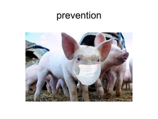 prevention
 