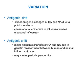 VARIATION
• Antigenic drift
• minor antigenic changes of HA and NA due to
point mutations.
• cause annual epidemics of influenza viruses
(seasonal influenza).
• Antigenic shift
• major antigenic changes of HA and NA due to
genetic reassortment between human and animal
influenza viruses.
• may cause periodic pandemics.
 