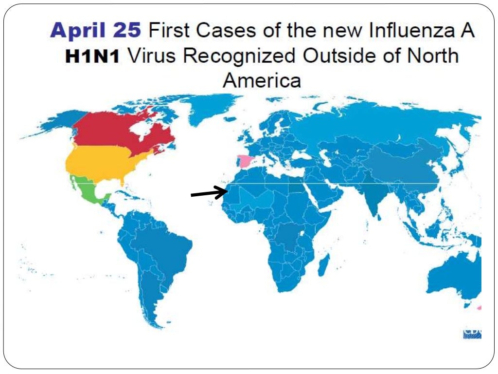 Swine flu 2