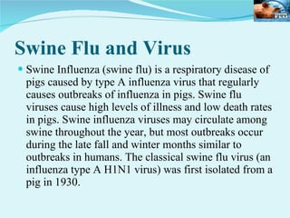 Swine Flu and Virus Swine Influenza (swine flu) is a respiratory disease of pigs caused by type A influenza virus that regularly causes outbreaks of influenza in pigs. Swine flu viruses cause high levels of illness and low death rates in pigs. Swine influenza viruses may circulate among swine throughout the year, but most outbreaks occur during the late fall and winter months similar to outbreaks in humans. The classical swine flu virus (an influenza type A H1N1 virus) was first isolated from a pig in 1930.  