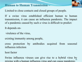 Human to Human Tranmission – Limited to close contacts and closed groups of people. If a swine virus established efficient human to human transmission, it can cause an influenza pandemic. The impact of a pandemic caused by such a virus is difficult to predict:  It depends on- virulence of the virus,  existing immunity among people,  cross protection by antibodies acquired from seasonal influenza infection host factor  Swine influenza viruses can give rise to a hybrid virus by mixing with a human influenza virus and can cause pandemic. 