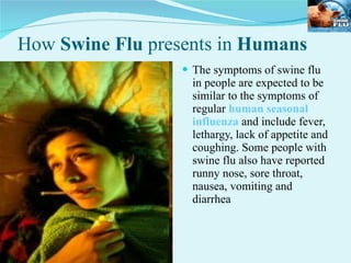 How  Swine Flu  presents in  Humans The symptoms of swine flu in people are expected to be similar to the symptoms of regular  human seasonal influenza  and include fever, lethargy, lack of appetite and coughing. Some people with swine flu also have reported runny nose, sore throat, nausea, vomiting and diarrhea  