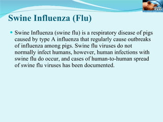 Swine Influenza (Flu) Swine Influenza (swine flu) is a respiratory disease of pigs caused by type A influenza that regularly cause outbreaks of influenza among pigs. Swine flu viruses do not normally infect humans, however, human infections with swine flu do occur, and cases of human-to-human spread of swine flu viruses has been documented.  