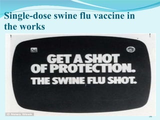 Single-dose swine flu vaccine in the works 