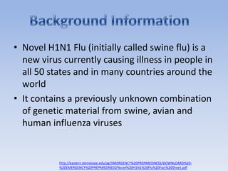 Novel H1N1 Flu (initially called swine flu) is a new virus currently causing illness in people in all 50 states and in many countries around the worldIt contains a previously unknown combination of genetic material from swine, avian and human influenza virusesBackground Informationhttp://eastern.tennessee.edu/ag/EMERGENCY%20PREPAREDNESS/DOWNLOARD%20-%20EMERGENCY%20PREPAREDNESS/Novel%20H1N1%20Flu%20Fact%20Sheet.pdf
