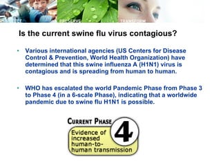 Is the current swine flu virus contagious? Various international agencies (US Centers for Disease Control & Prevention, World Health Organization) have determined that this swine influenza A (H1N1) virus is contagious and is spreading from human to human. WHO has escalated the world Pandemic Phase from Phase 3 to Phase 4 (in a 6-scale Phase), indicating that a worldwide pandemic due to swine flu H1N1 is possible. 