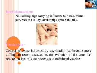 Herd Management Not adding pigs carrying influenza to herds. Virus  survives in healthy carrier pigs upto 3 months. Vaccination –   Control of swine influenza by vaccination has become more difficult in recent decades, as the evolution of the virus has resulted in inconsistent responses to traditional vaccines. 