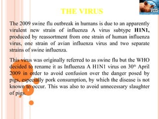 THE VIRUS  The 2009 swine flu outbreak in humans is due to an apparently virulent new strain of influenza A virus subtype  H1N1,  produced by reassortment from one strain of human influenza virus, one strain of avian influenza virus and two separate strains of swine influenza. This virus was originally referred to as swine flu but the WHO decided to rename it as Influenza A H1N1 virus on 30 th  April 2009 in order to avoid confusion over the danger posed by pigs, especially pork consumption, by which the disease is not known to occur. This was also to avoid unnecessary slaughter of pigs. 